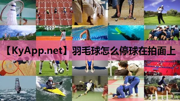 羽毛球怎么停球在拍面上