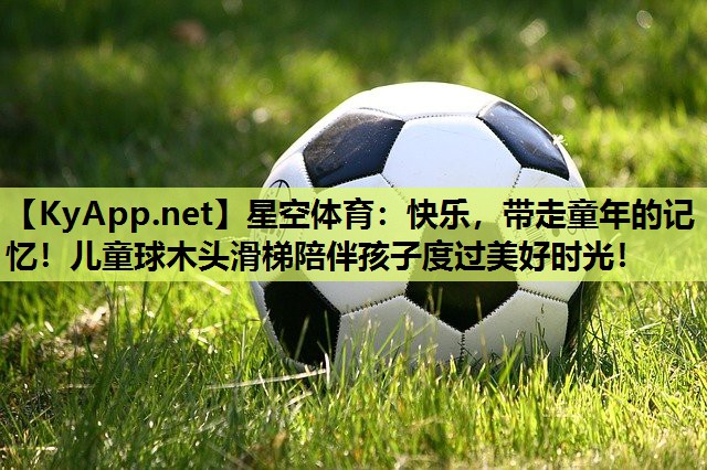 星空体育：快乐，带走童年的记忆！儿童球木头滑梯陪伴孩子度过美好时光！