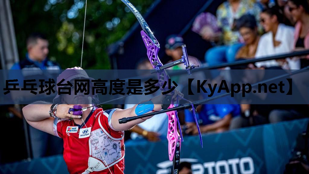 乒乓球台网高度是多少