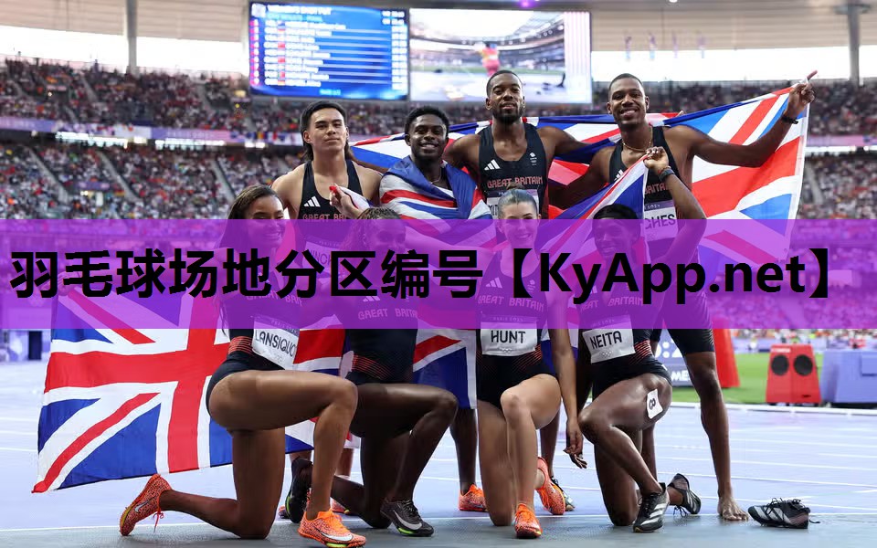 羽毛球场地分区编号