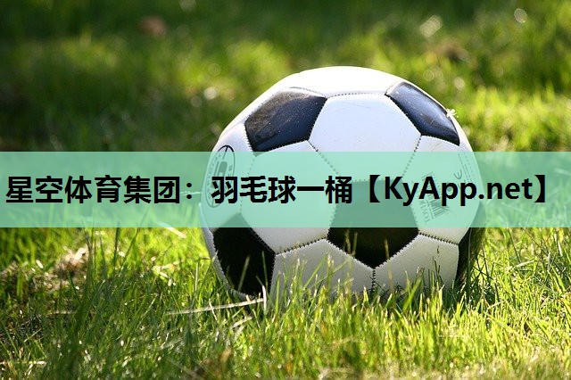 星空体育集团：羽毛球一桶