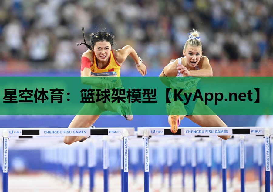 星空体育：篮球架模型