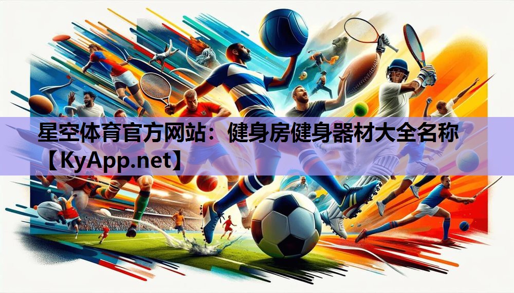 星空体育官方网站：健身房健身器材大全名称