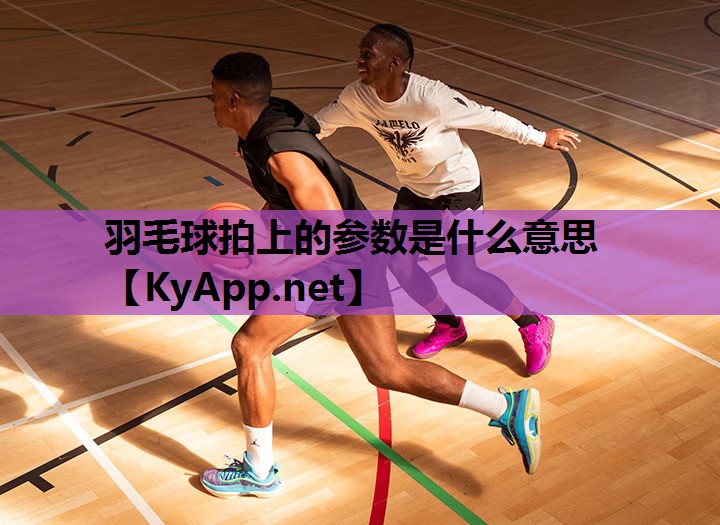 羽毛球拍上的参数是什么意思