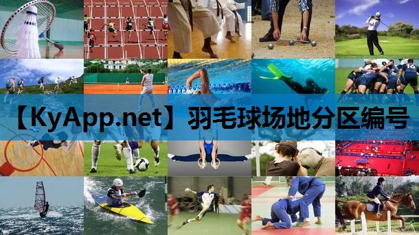 羽毛球场地分区编号 羽毛球场地分区编号