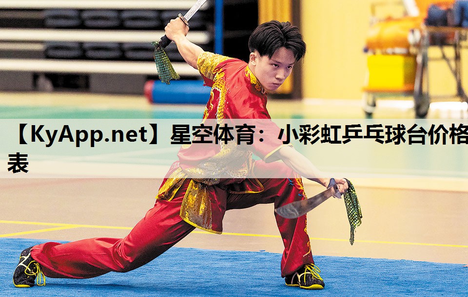 小彩虹乒乓球台价格表 小彩虹乒乓球台价格表