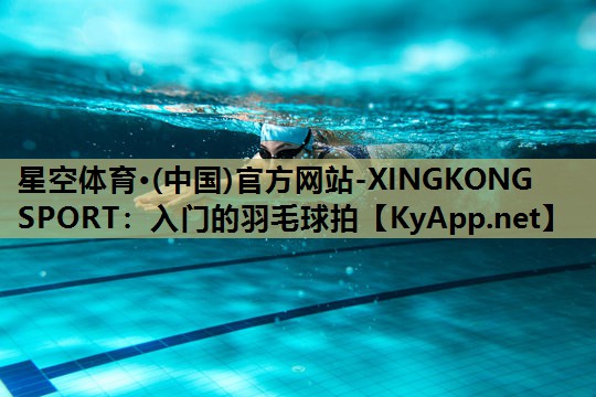 入门的羽毛球拍 入门的羽毛球拍
