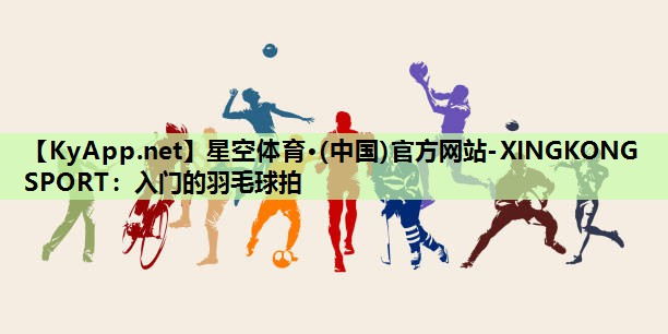 入门的羽毛球拍 入门的羽毛球拍