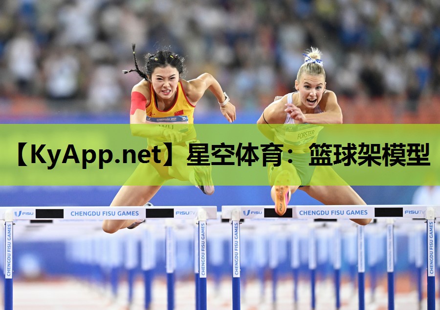篮球架模型 篮球架模型