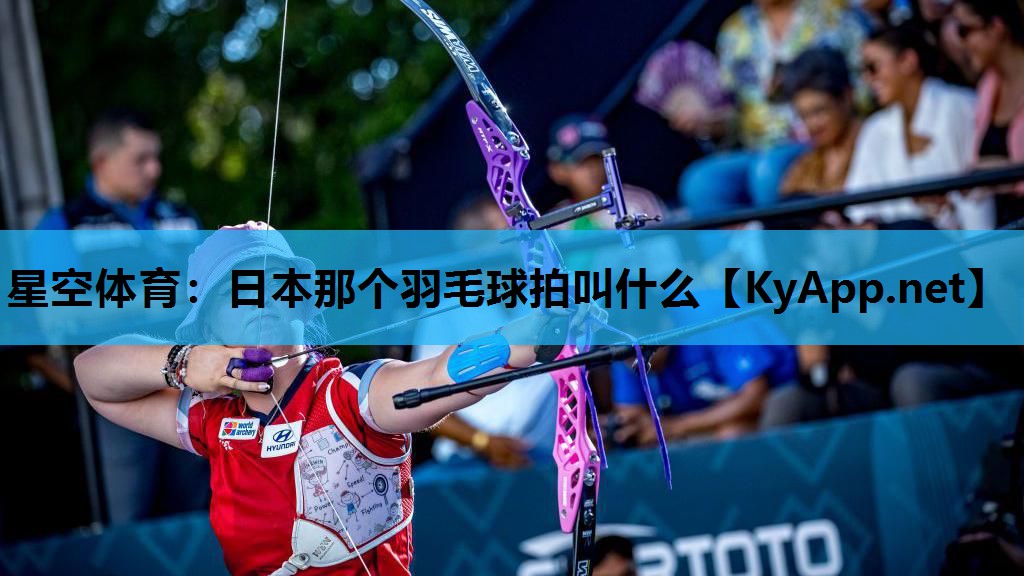 日本那个羽毛球拍叫什么 日本那个羽毛球拍叫什么