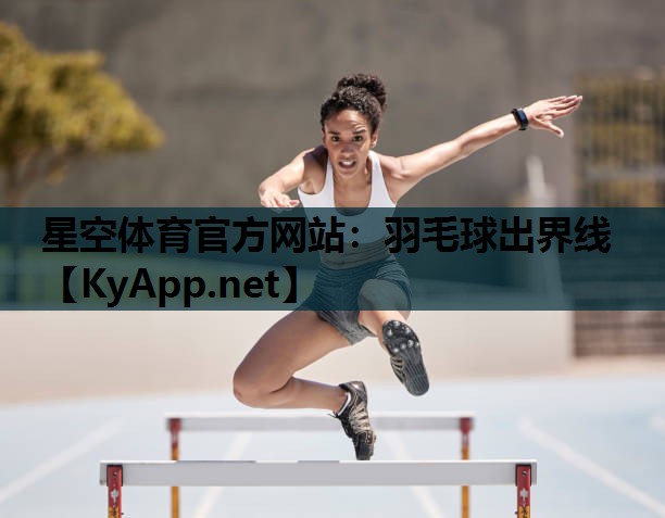 羽毛球出界线 羽毛球出界线