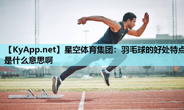 羽毛球的好处特点是什么意思啊 羽毛球的好处特点是什么意思啊