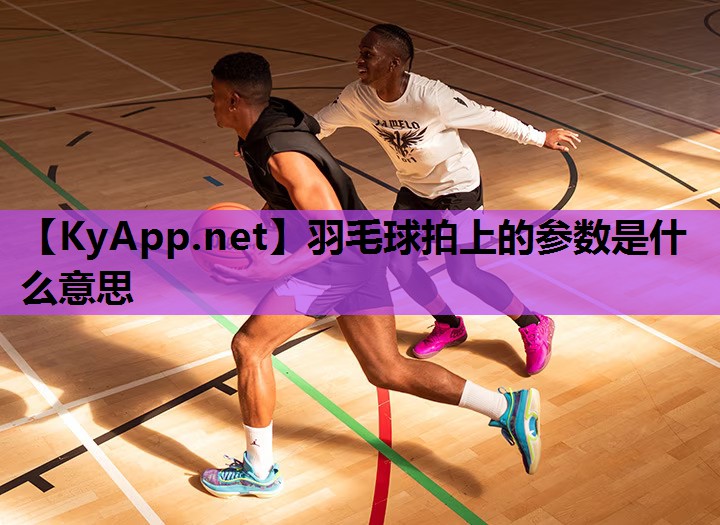 羽毛球拍上的参数是什么意思 羽毛球拍上的参数是什么意思