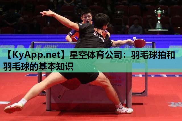 羽毛球拍和羽毛球的基本知识 羽毛球拍和羽毛球的基本知识